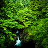 水と緑の國