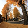 秋色-Orange　Road
