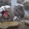 いい湯だな