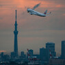 SKYTREE × JAL737