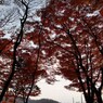 CIMG0343