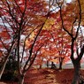 CIMG0346