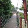 門脇吊り橋