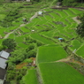 四谷の千枚田1