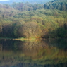 気になる光景
