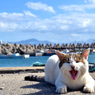 ふあぁぁぁぁ～～～