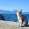 海が似合うよね、君は