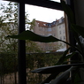 PB030499
