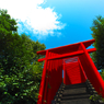 空と自然と赤き門
