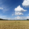 ドイツの夏の風景