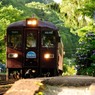 紫陽花の咲く駅