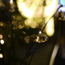 P1030701