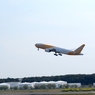 飛んでるScoot機