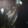 虹色吐息