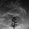 R0019349