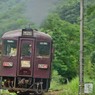 わ鐵の花♪