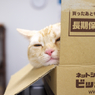 DSCF9563