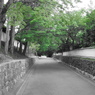 東福寺