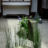 大徳寺・他