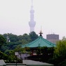東京散歩Ⅲ：不忍池３／弁天堂とスカイツリー