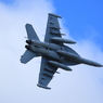 Boing EA-18G Growler (2014丘珠航空ページェント）