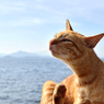 海辺でカイカイ
