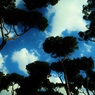 青空