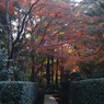 平林寺　＃18