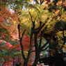 平林寺　＃17