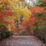 平林寺　＃16