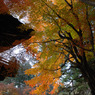 平林寺　＃15