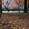 平林寺　＃13