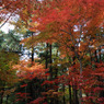 平林寺　＃11