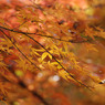 平林寺　＃９