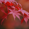 平林寺　＃５