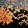 平林寺　＃４