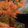 平林寺　＃２