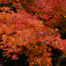 平林寺　＃１