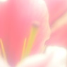 光よ