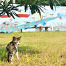 僕の公園