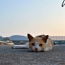 ふう・・・