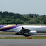 THAI A330-300