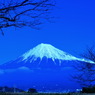 電球富士山