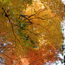 平林寺　＃20