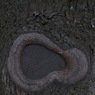 なんだコラ