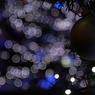 P1030777