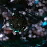 P1030782