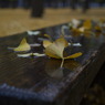 P1030980