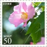 花切手＜2011-50＞＊スイフヨウ