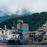 雨上がりが似合う